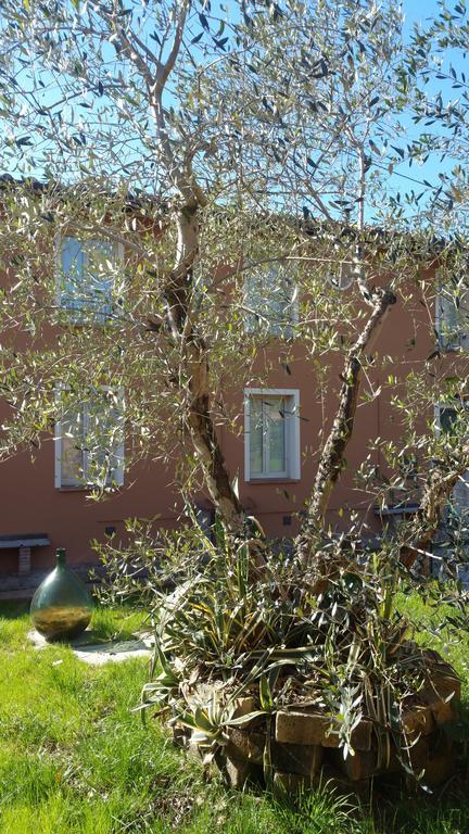Ulivo Della Querce Villa Querce  Exterior photo